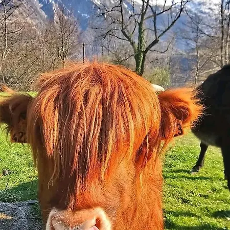 Avec Vue Panoramique *