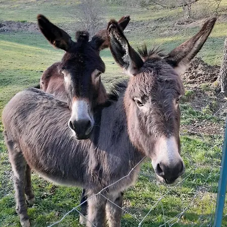 Apartamento Avec Vue Panoramique *